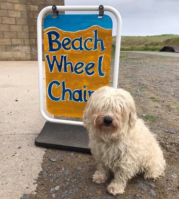 Project dog sitting in front of the Balmedie Beach Wheelchairs sign