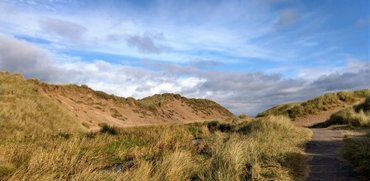 View of the sand dunes at Balmedie Country Park